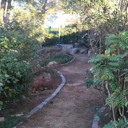 Del Senglar Guest house